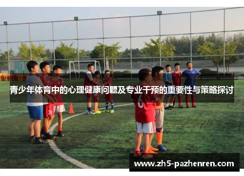 青少年体育中的心理健康问题及专业干预的重要性与策略探讨